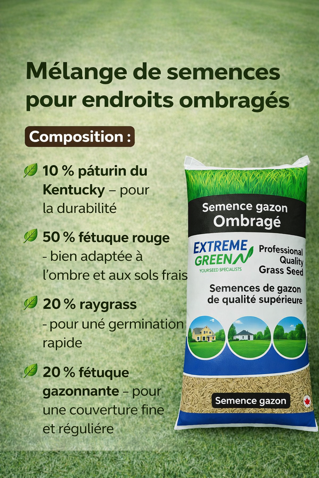 Semence gazon ombragé
