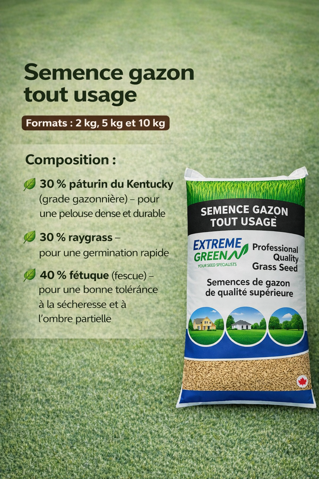 Semence gazon tout usage