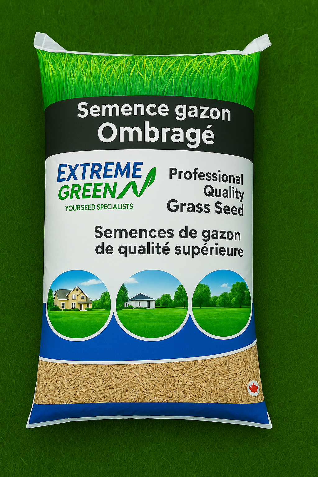 Semence gazon ombragé