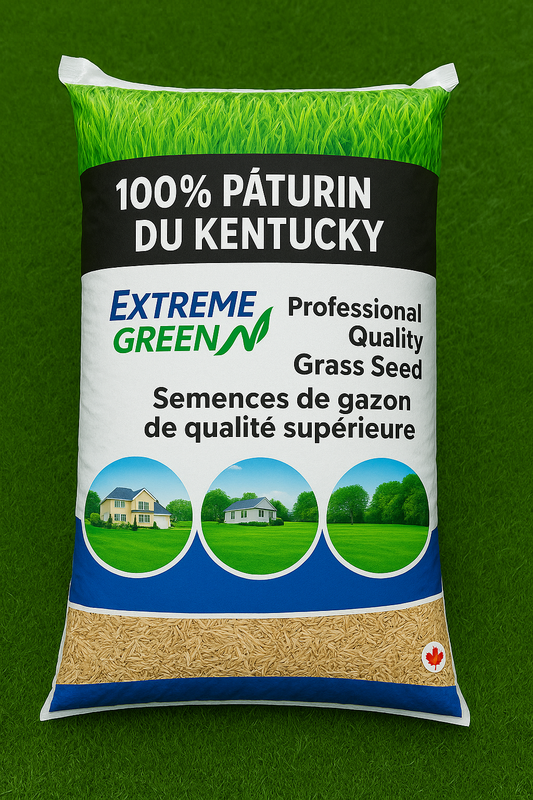 Semence gazon 100% Pâturin du Kentucky