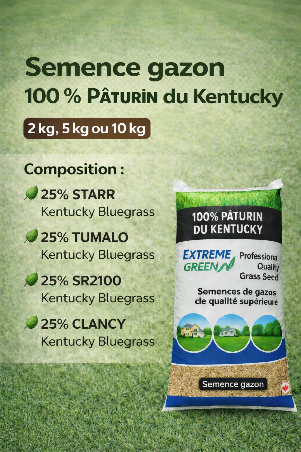 Semence gazon 100% Pâturin du Kentucky